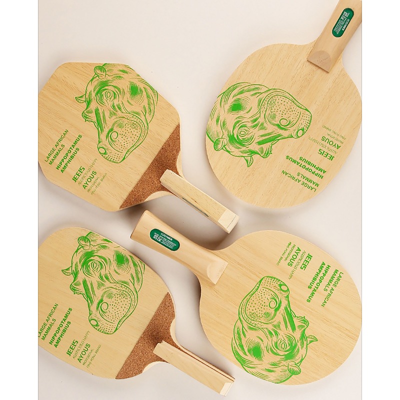 Racchetta da Ping Pong Profess - Table Tennis Paddles recensione e prezzo