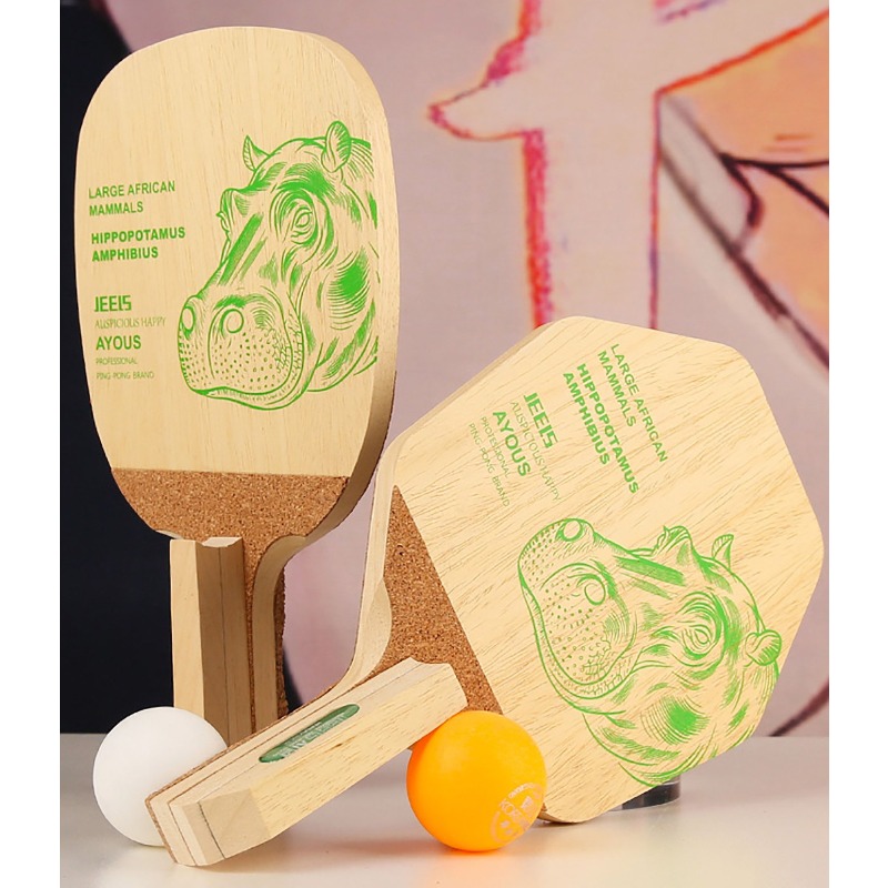 Racchetta da Ping Pong Profess - Table Tennis Paddles recensione e prezzo