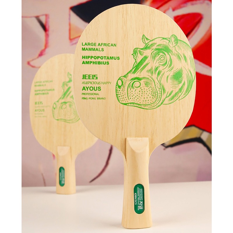 Racchetta da Ping Pong Profess - Table Tennis Paddles recensione e prezzo