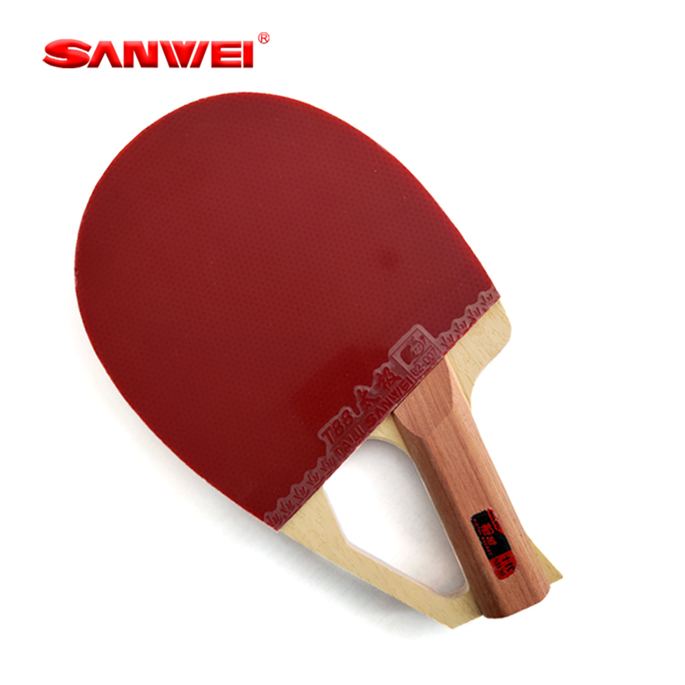 Racchetta da Ping Pong Profess - Table Tennis Paddles recensione e prezzo