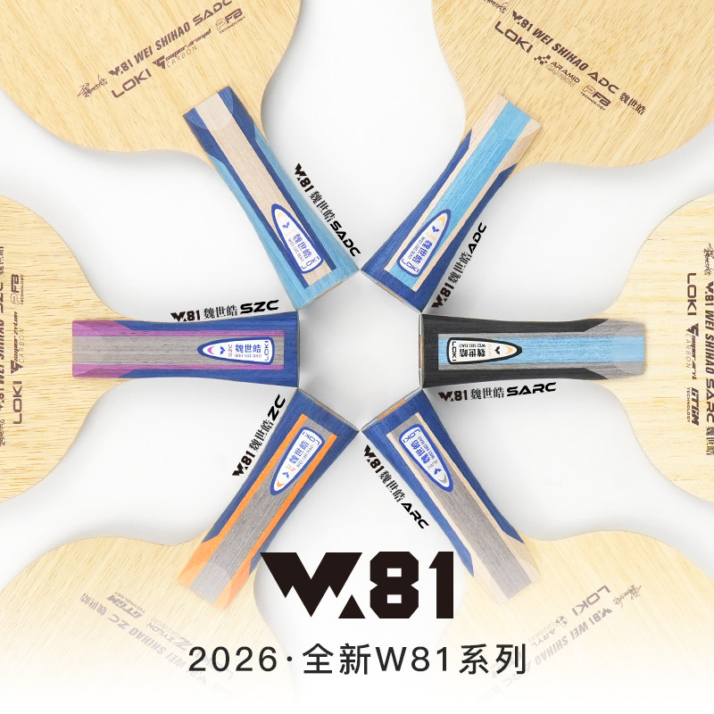 Racchetta da Ping Pong Profess - Table Tennis Paddles recensione e prezzo