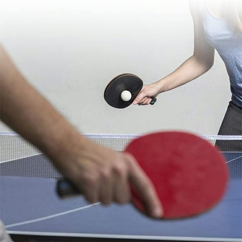 Rete da ping pong portatile po - Table Tennis Barrier recensione e prezzo