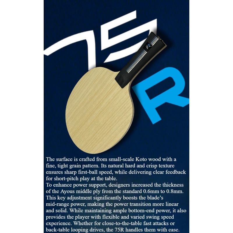 SANWEI 75R 5+2 Outer H-GLC Tel - Table Tennis Paddles recensione e prezzo